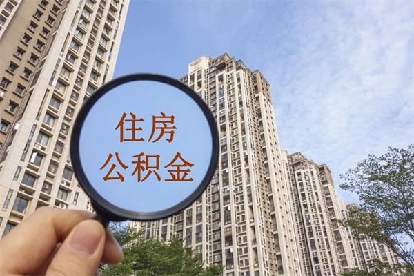 绥化离职取出公积（离职取出公积金要什么手续）